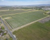 Puterbaugh Rd/Forsell Rd, Grandview, Washington 98930, ,Residential,For Sale,Puterbaugh Rd/Forsell Rd,280419
