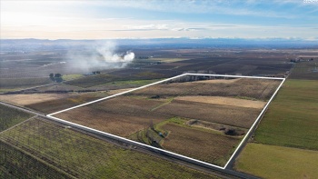 Hinzerling Rd, Prosser, Washington 99350, ,Agricultural,For Sale,Hinzerling Rd,280831