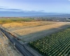 Rd 13, Royal City, Washington 99357, ,Special Use,For Sale,Rd 13,284721