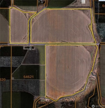 Rd 13, Royal City, Washington 99357, ,Special Use,For Sale,Rd 13,284721