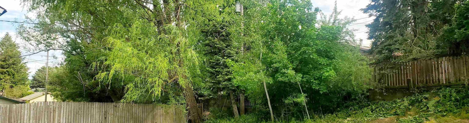 Robert St, Pullman, Washington 99163, 4 Bedrooms Bedrooms, ,2 BathroomsBathrooms,Multi-family,For Sale,Robert St,284652