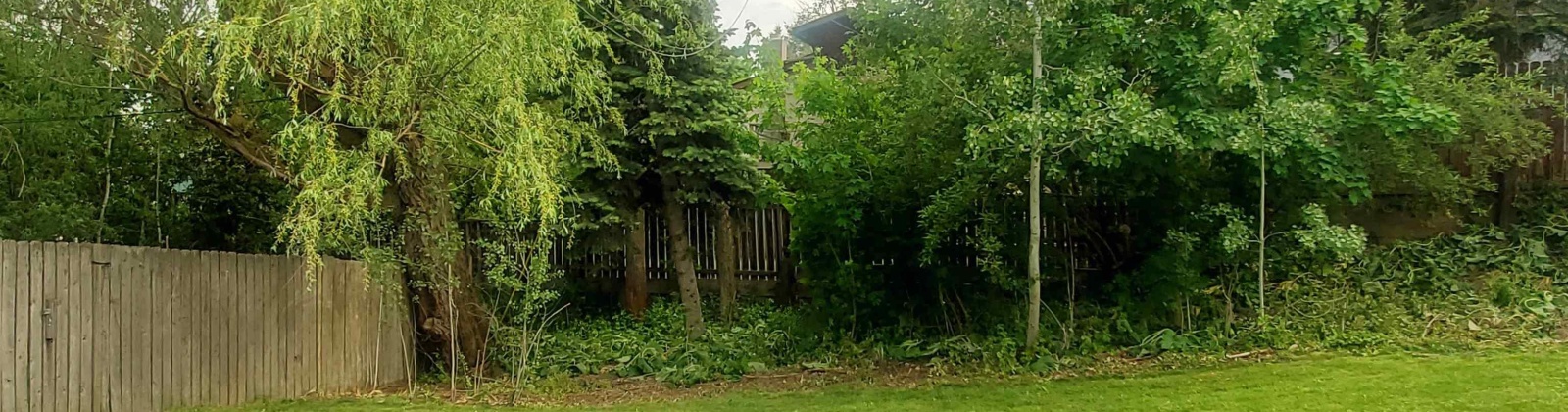 Robert St, Pullman, Washington 99163, 4 Bedrooms Bedrooms, ,2 BathroomsBathrooms,Multi-family,For Sale,Robert St,284652