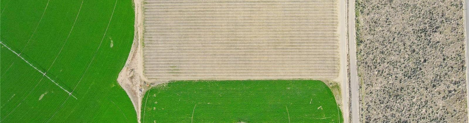 Rd 28, Mattawa, Washington 99349, ,Agricultural Land,For Sale,Rd 28,284545