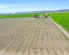 Rd 28, Mattawa, Washington 99349, ,Agricultural Land,For Sale,Rd 28,284545