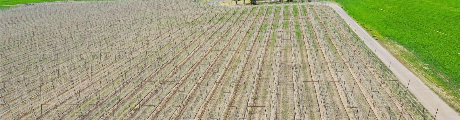 Rd 28, Mattawa, Washington 99349, ,Agricultural Land,For Sale,Rd 28,284545