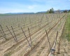 Rd 28, Mattawa, Washington 99349, ,Agricultural Land,For Sale,Rd 28,284545