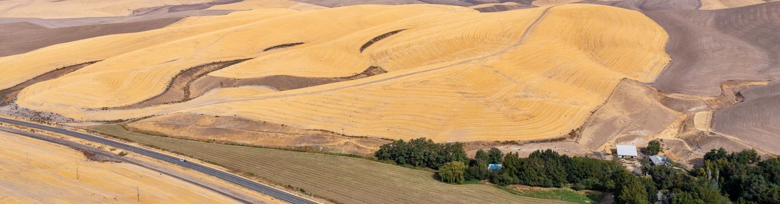Herron Hollow Rd, Prescot, Washington 99348, ,Irrigated,For Sale,Herron Hollow Rd,281397