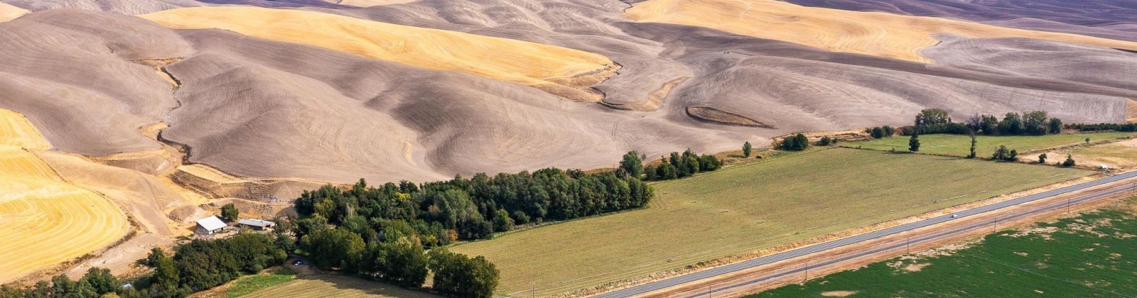 Herron Hollow Rd, Prescot, Washington 99348, ,Irrigated,For Sale,Herron Hollow Rd,281397