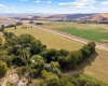 Herron Hollow Rd, Prescot, Washington 99348, ,Irrigated,For Sale,Herron Hollow Rd,281397