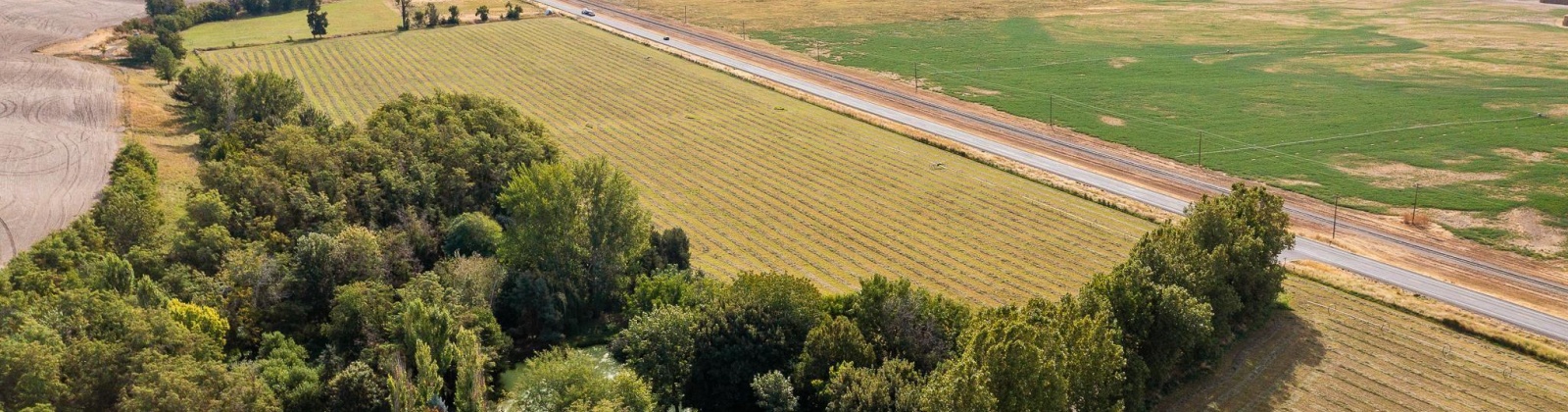 Herron Hollow Rd, Prescot, Washington 99348, ,Irrigated,For Sale,Herron Hollow Rd,281397