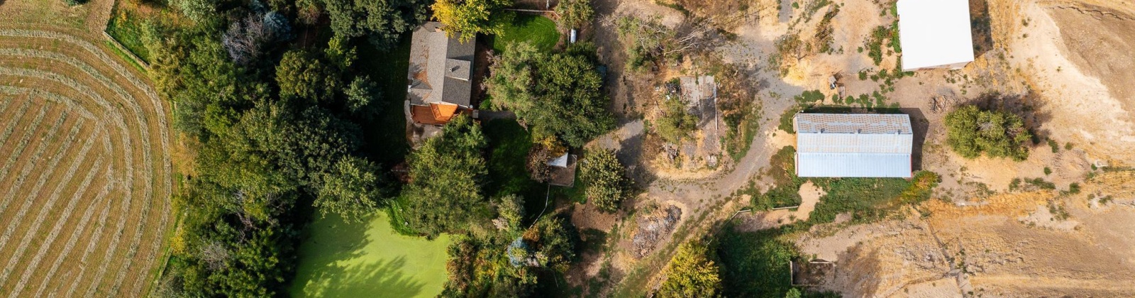 Herron Hollow Rd, Prescot, Washington 99348, ,Irrigated,For Sale,Herron Hollow Rd,281397