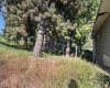 Deane St, Pullman, Washington 99163, 6 Bedrooms Bedrooms, ,3 BathroomsBathrooms,Multi-family,For Sale,Deane St,284629