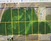 Ziegler, Eltopia, Washington 99330, ,Irrigated,For Sale,Ziegler,283283
