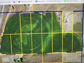 Ziegler, Eltopia, Washington 99330, ,Irrigated,For Sale,Ziegler,283283