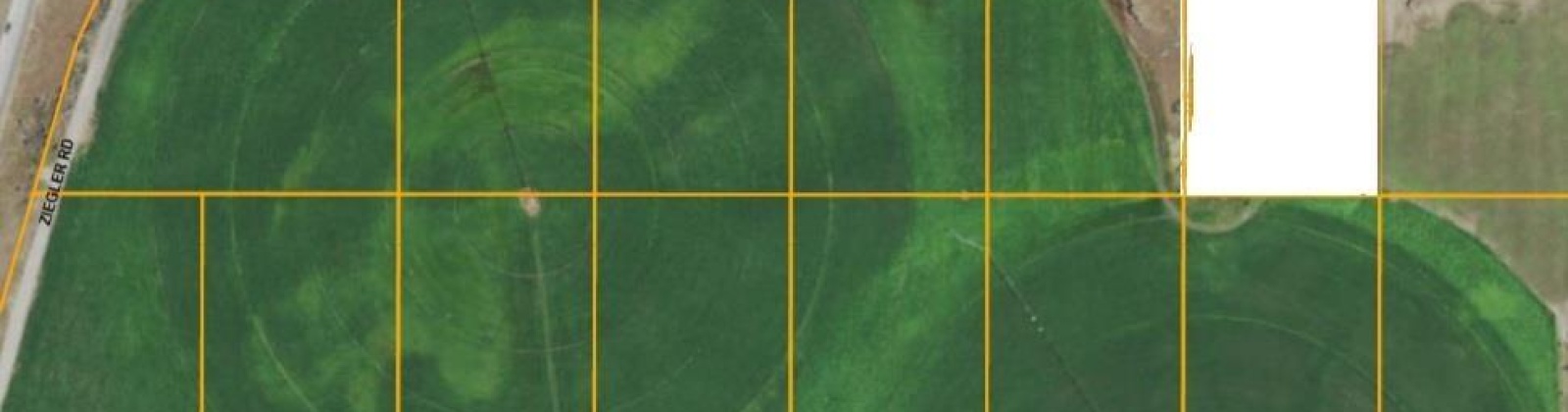 Ziegler, Eltopia, Washington 99330, ,Irrigated,For Sale,Ziegler,283283