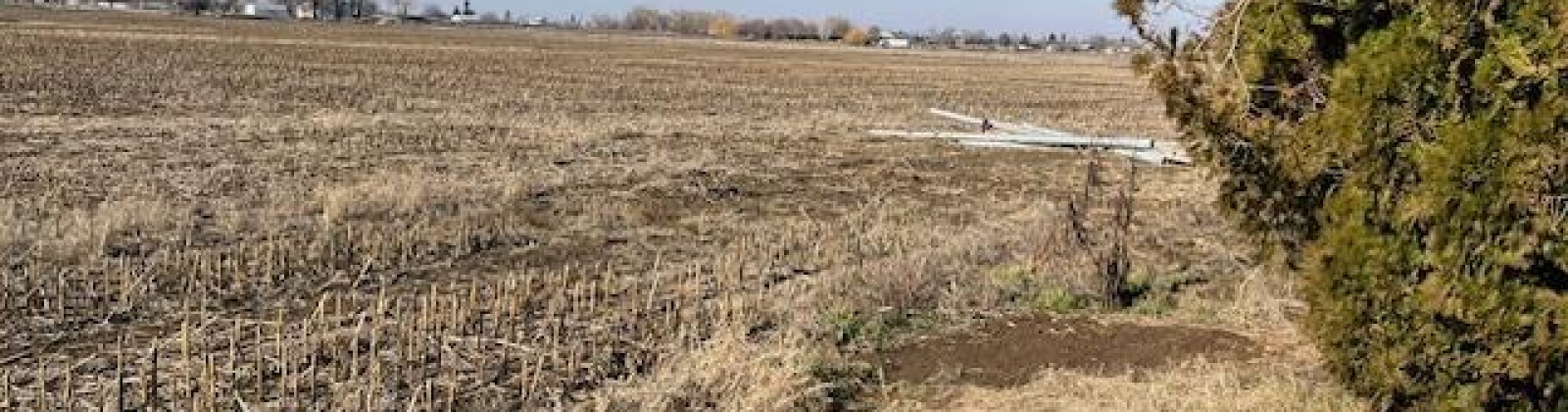 Apricot Rd, Prosser, Washington 99350, ,Irrigated,For Sale,Apricot Rd,281530