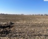 Apricot Rd, Prosser, Washington 99350, ,Irrigated,For Sale,Apricot Rd,281530