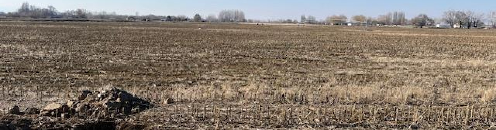Apricot Rd, Prosser, Washington 99350, ,Irrigated,For Sale,Apricot Rd,281530