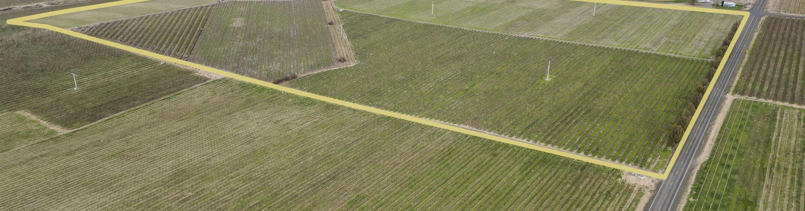 Evans Road, Prosser, Washington 99350, ,Irrigated,For Sale,Evans Road,282946