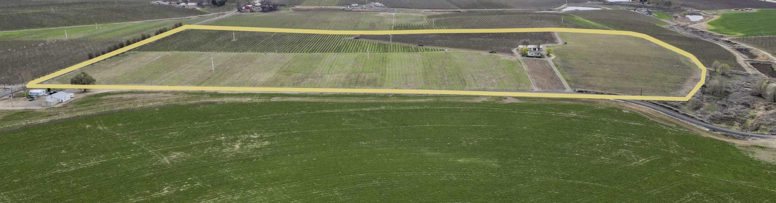 Evans Road, Prosser, Washington 99350, ,Irrigated,For Sale,Evans Road,282946