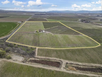Evans Road, Prosser, Washington 99350, ,Irrigated,For Sale,Evans Road,282946