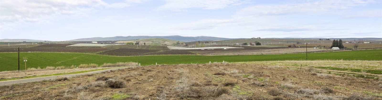 Evans Road, Prosser, Washington 99350, ,Irrigated,For Sale,Evans Road,282946