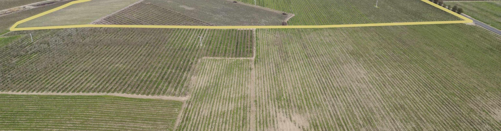 Evans Road, Prosser, Washington 99350, ,Irrigated,For Sale,Evans Road,282946