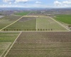 Evans Road, Prosser, Washington 99350, ,Irrigated,For Sale,Evans Road,282946