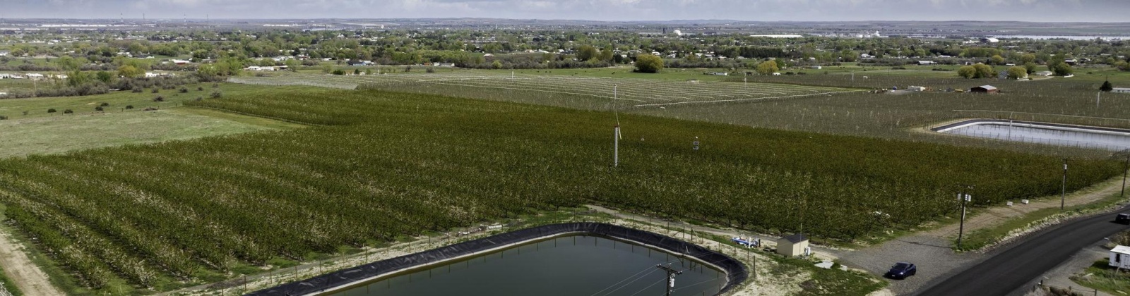 Terril, Kennewick, Washington 99337, ,Agricultural Land,For Sale,Terril,281543