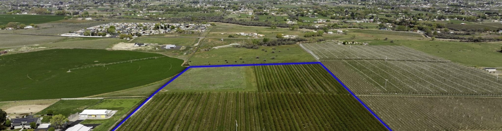 Terril, Kennewick, Washington 99337, ,Agricultural Land,For Sale,Terril,281543