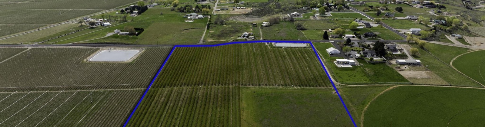 Terril, Kennewick, Washington 99337, ,Agricultural Land,For Sale,Terril,281543