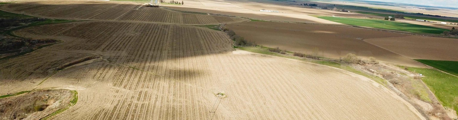 Paradise Rd (ptn Blk 18, FU 221), Connell, Washington 99326-9716, ,Irrigated,For Sale,Paradise Rd (ptn Blk 18, FU 221),282943