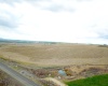 Paradise Rd (ptn Blk 18, FU 221), Connell, Washington 99326-9716, ,Irrigated,For Sale,Paradise Rd (ptn Blk 18, FU 221),282943