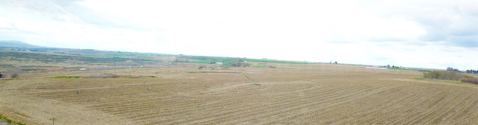 Paradise Rd (ptn Blk 18, FU 221), Connell, Washington 99326-9716, ,Irrigated,For Sale,Paradise Rd (ptn Blk 18, FU 221),282943