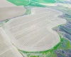 Paradise Rd (ptn Blk 18, FU 221), Connell, Washington 99326-9716, ,Irrigated,For Sale,Paradise Rd (ptn Blk 18, FU 221),282943