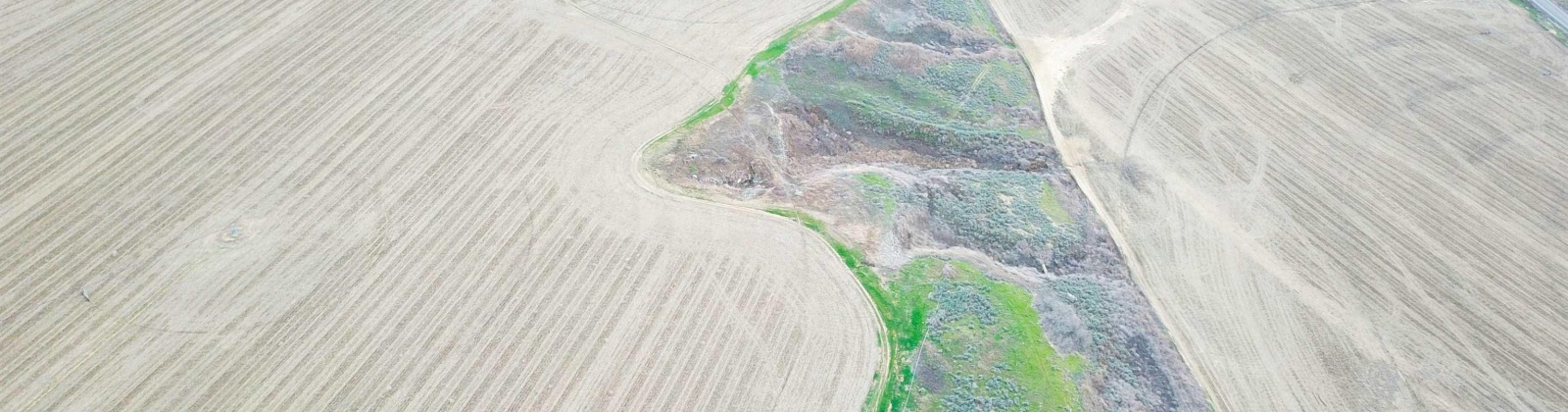 Paradise Rd (ptn Blk 18, FU 221), Connell, Washington 99326-9716, ,Irrigated,For Sale,Paradise Rd (ptn Blk 18, FU 221),282943