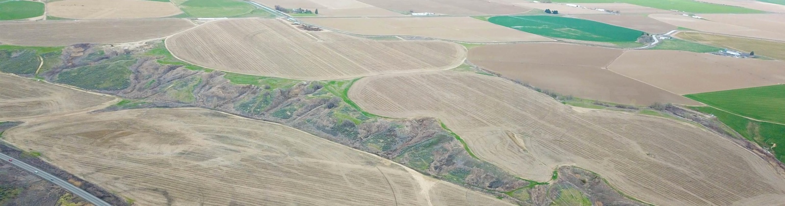 Paradise Rd (ptn Blk 18, FU 221), Connell, Washington 99326-9716, ,Irrigated,For Sale,Paradise Rd (ptn Blk 18, FU 221),282943