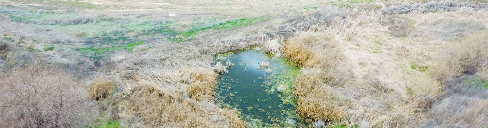 Paradise Rd (ptn Blk 18, FU 221), Connell, Washington 99326-9716, ,Irrigated,For Sale,Paradise Rd (ptn Blk 18, FU 221),282943