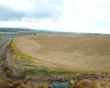 Paradise Rd (ptn Blk 18, FU 221), Connell, Washington 99326-9716, ,Irrigated,For Sale,Paradise Rd (ptn Blk 18, FU 221),282943