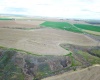 Paradise Rd (ptn Blk 18, FU 221), Connell, Washington 99326-9716, ,Irrigated,For Sale,Paradise Rd (ptn Blk 18, FU 221),282943