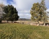 Blanton Road, Eltopia, Washington 99330, ,Other,For Sale,Blanton Road,282909