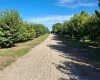 Lester Rd, Sunnyside, Washington 98944, 0 , 0 ,0,Agricultural Land,For Sale,Lester Rd,0,281261