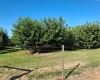 Lester Rd, Sunnyside, Washington 98944, 0 , 0 ,0,Agricultural Land,For Sale,Lester Rd,0,281261