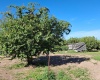 Lester Rd, Sunnyside, Washington 98944, 0 , 0 ,0,Agricultural Land,For Sale,Lester Rd,0,281261