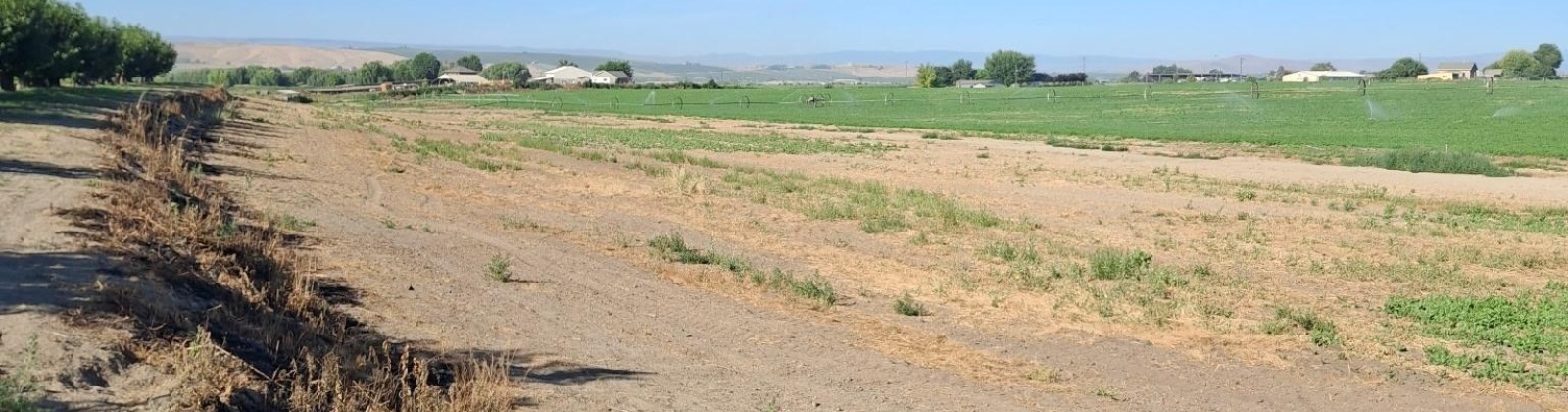 Lester Rd, Sunnyside, Washington 98944, 0 , 0 ,0,Agricultural Land,For Sale,Lester Rd,0,281261