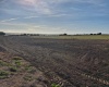 Lester Rd, Sunnyside, Washington 98944, 0 , 0 ,0,Agricultural Land,For Sale,Lester Rd,0,281261