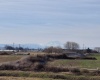 Lester Rd, Sunnyside, Washington 98944, ,Orchard,For Sale,Lester Rd,281261