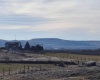 Lester Rd, Sunnyside, Washington 98944, ,Orchard,For Sale,Lester Rd,281261
