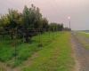 Lester Rd, Sunnyside, Washington 98944, ,Orchard,For Sale,Lester Rd,281261