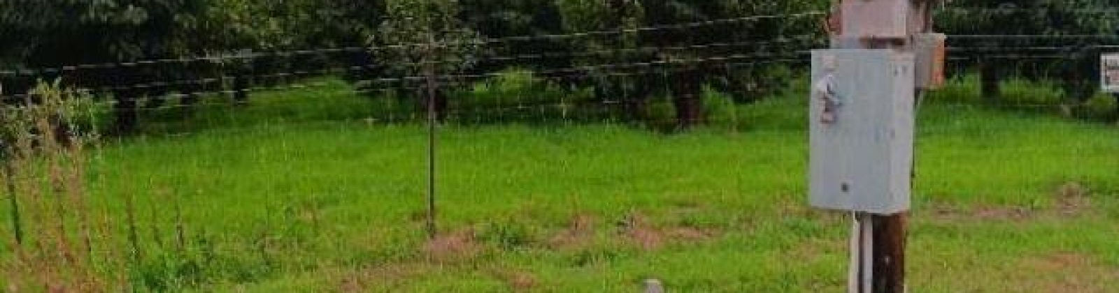 Lester Rd, Sunnyside, Washington 98944, ,Orchard,For Sale,Lester Rd,281261